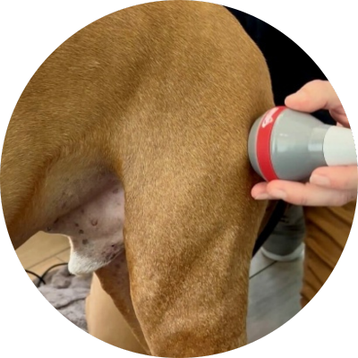 Laser Therapy (1)